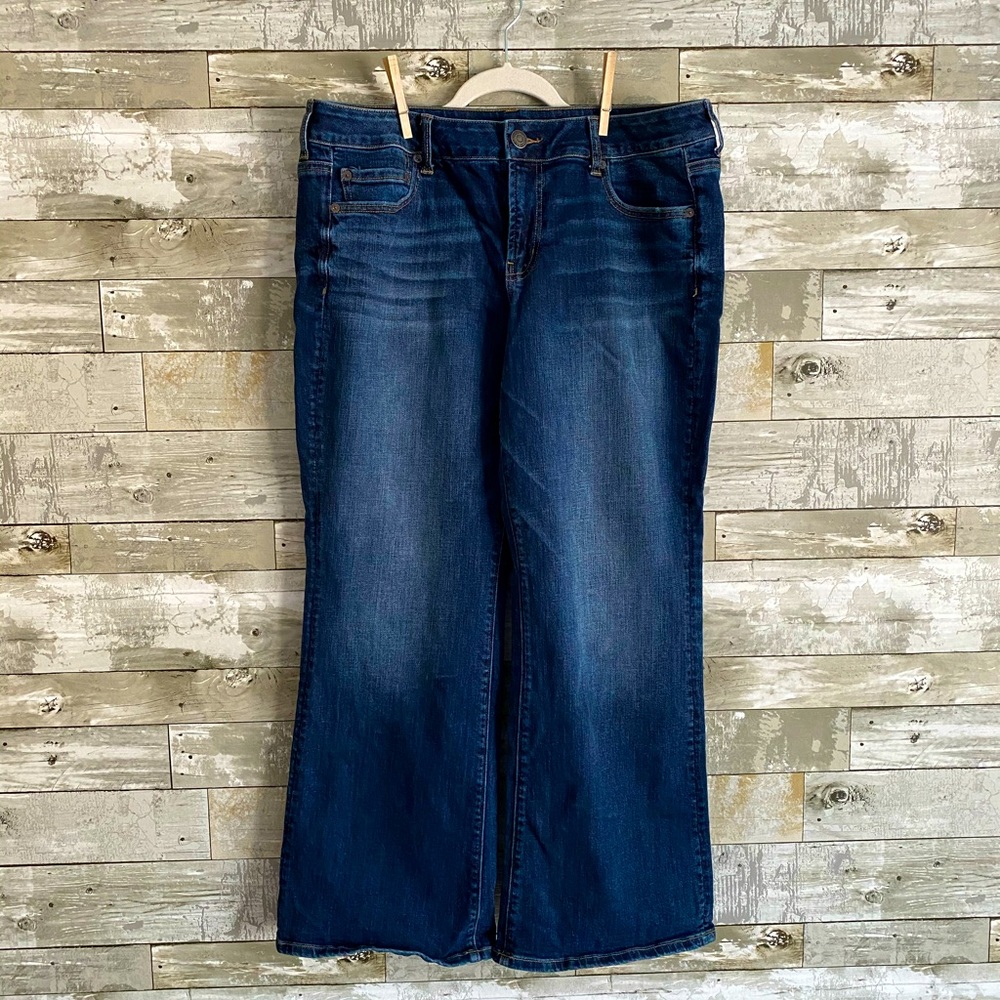 American Eagle Jeans 16/Short